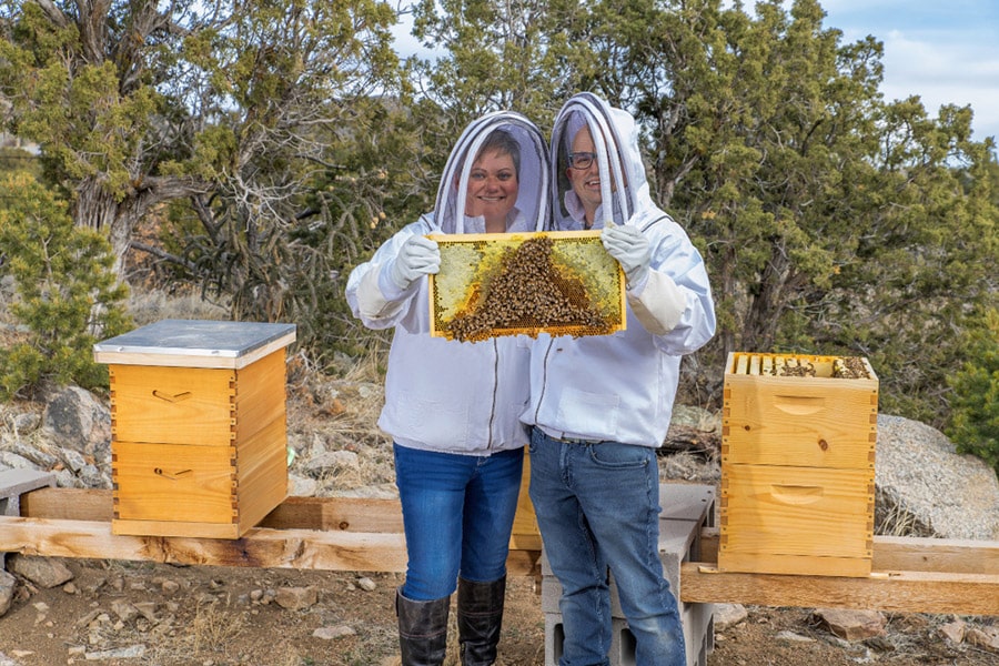 bobcat beekeepers