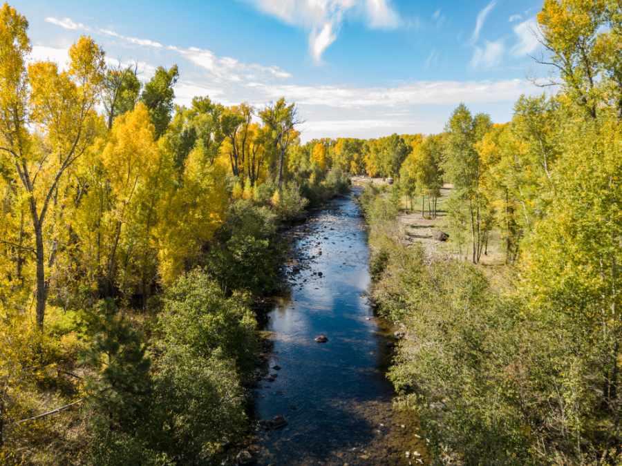The Rio Chama wearing its fall colors.